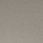 RAL-9007